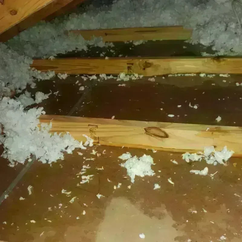 Attic Water Damage in Columbus, NE