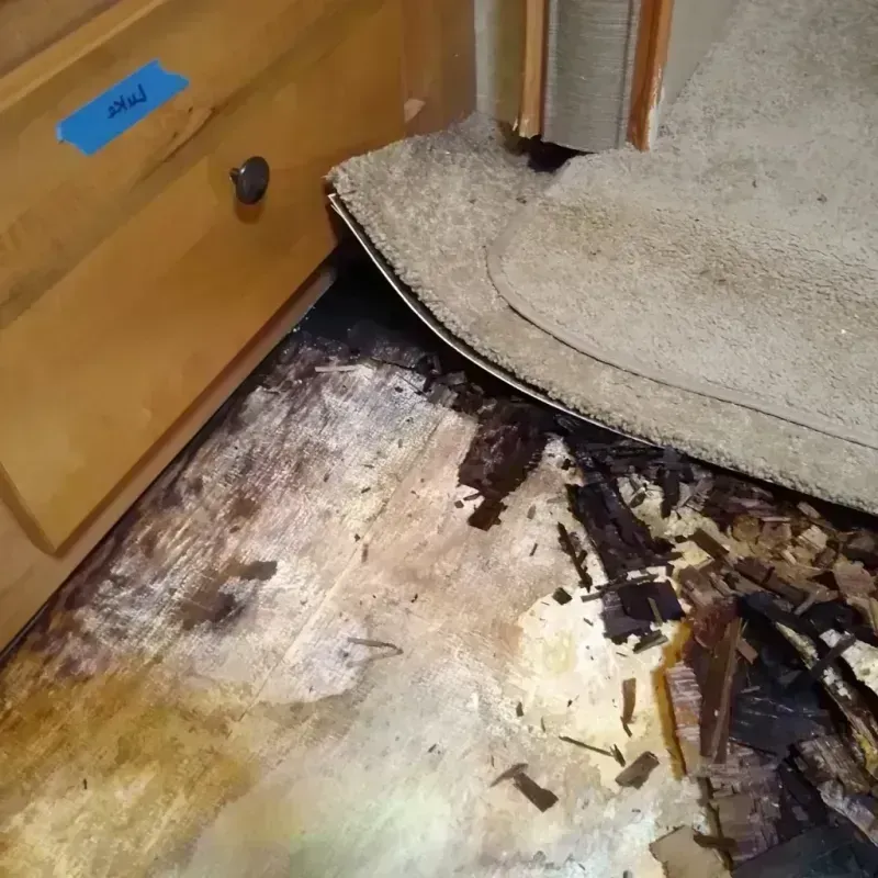 Wood Floor Water Damage in Columbus, NE